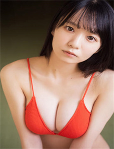 《张以江-月野定规》