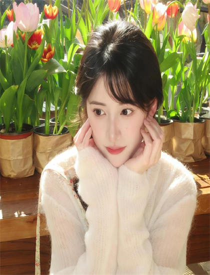 语言大师这个家没我得散奖项权威分析：获奖情况与专业认可度评价